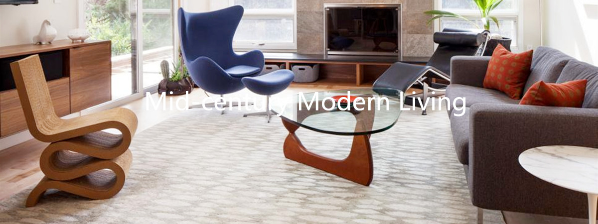 Modern Living room Furniture